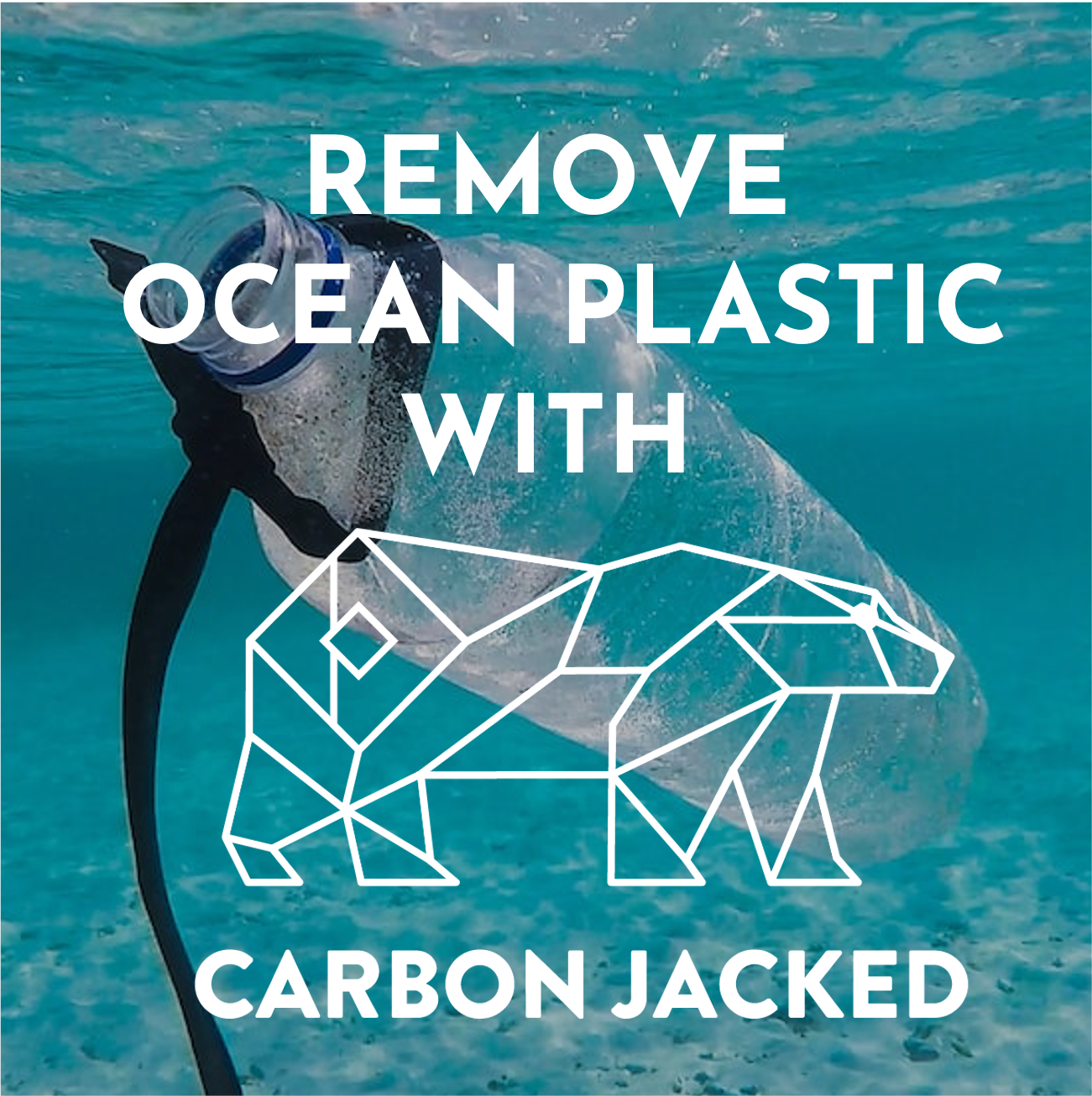 Ocean plastic removal