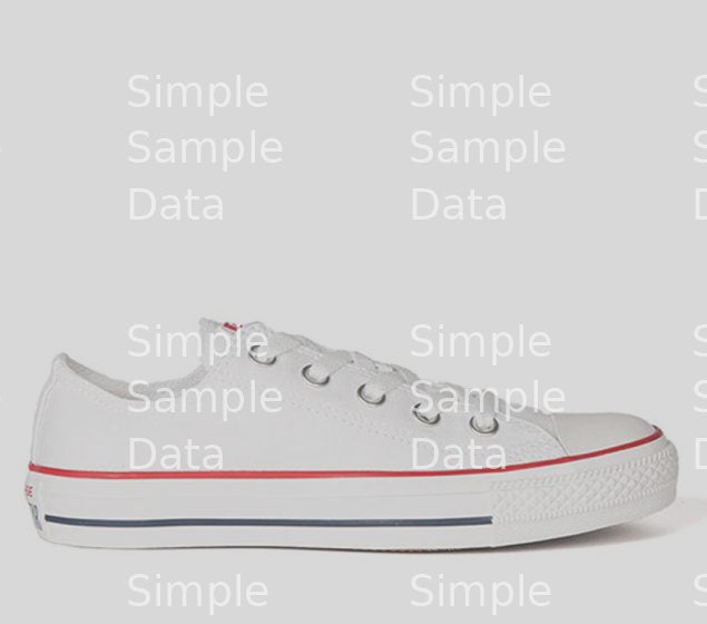 CONVERSE | CHUCK TAYLOR ALL STAR LO