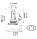 Hella HB3 9005 12V 100W Xenon White XB Bulb (Pair)