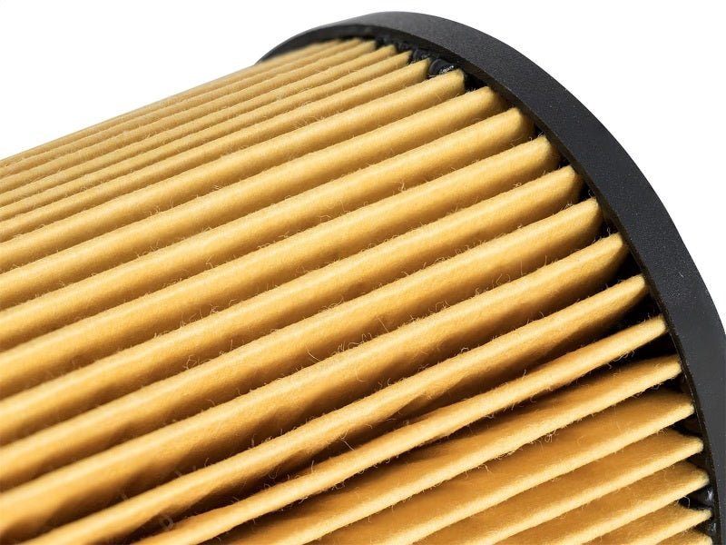 aFe ProGuard D2 Fluid Filters Oil F/F OIL BMW Gas Cars 96-06 L6 - Crew Original