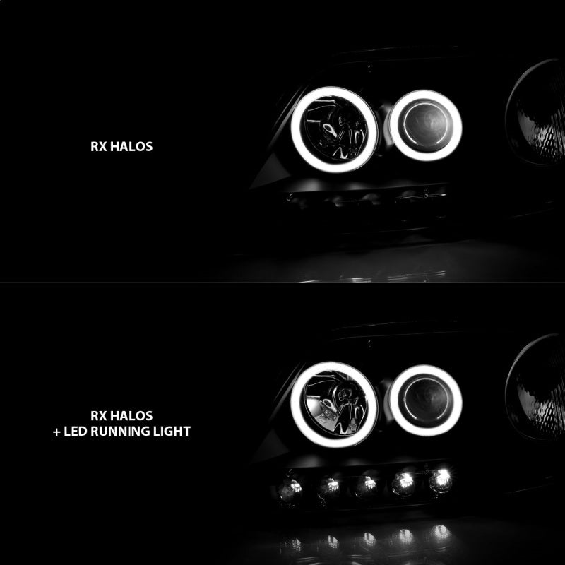 ANZO 1997-2003 Ford F-150 Projector Headlights w/ Halo Black (CCFL) - Crew Original