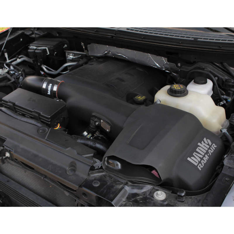 Banks Power 11-14 Ford F-150 3.5L EcoBoost Ram-Air Intake System - Crew Original