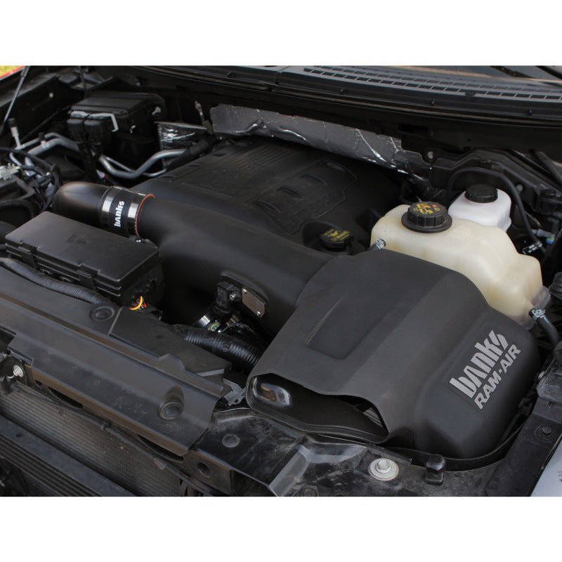 Banks Power 11-14 Ford F-150 3.5L EcoBoost Ram-Air Intake System - Dry Filter - Crew Original