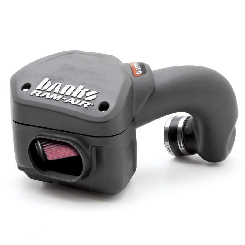 Banks Power 94-02 Dodge 5.9L Ram-Air Intake System - Crew Original