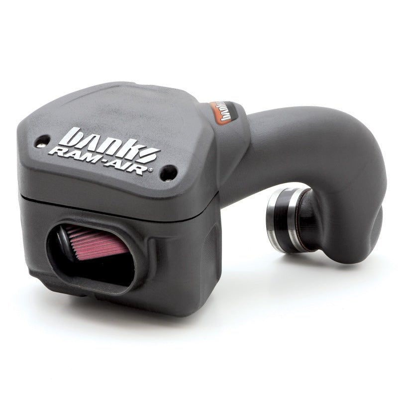 Banks Power 94-02 Dodge 5.9L Ram-Air Intake System - Crew Original