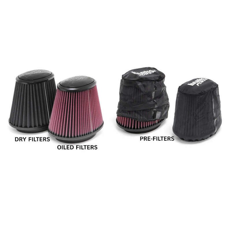 Banks Power 94-02 Dodge 5.9L Ram-Air Intake System - Crew Original