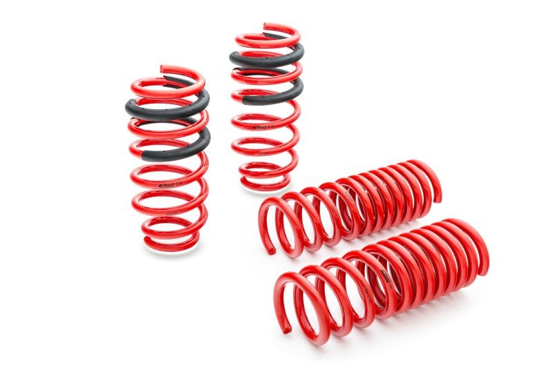 Eibach Sportline Springs for 13-16 BMW F30 320i - Crew Original
