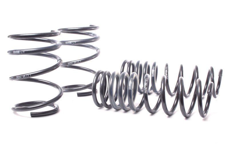 H&R 04-06 BMW 525i/530i/545i E60 Race Spring (w/o Self Leveling) - Crew Original