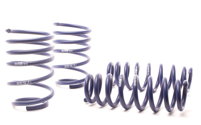 H&R 07-11 BMW 328i Sedan/335i Sedan E90 Race Spring - Crew Original